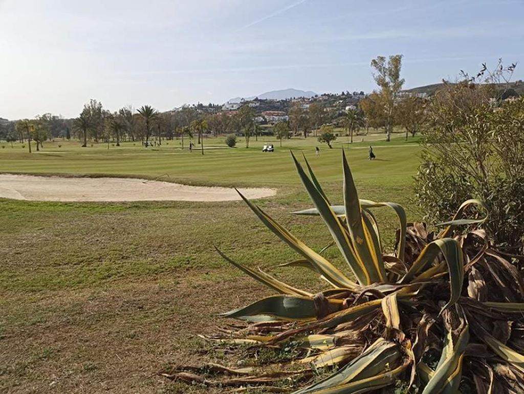 Apartament Le Joyau Andalou Estepona Zewnętrze zdjęcie